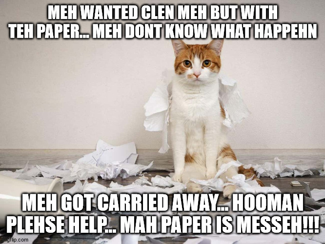 sorry if i copied you (iloveleonid) i forght it would suit this meme | MEH WANTED CLEN MEH BUT WITH TEH PAPER... MEH DONT KNOW WHAT HAPPEHN; MEH GOT CARRIED AWAY... HOOMAN PLEHSE HELP... MAH PAPER IS MESSEH!!! | image tagged in cat | made w/ Imgflip meme maker