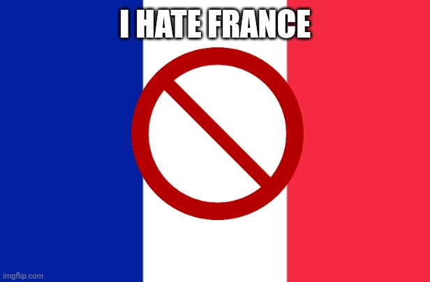 I hate France | I HATE FRANCE | image tagged in vive la france | made w/ Imgflip meme maker