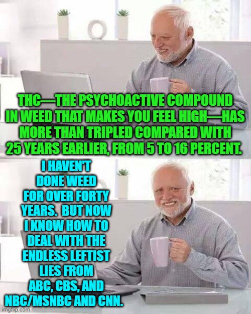 Modern 'solutions' for modern problems. | I HAVEN'T DONE WEED FOR OVER FORTY YEARS.  BUT NOW I KNOW HOW TO DEAL WITH THE ENDLESS LEFTIST LIES FROM ABC, CBS, AND NBC/MSNBC AND CNN. THC—THE PSYCHOACTIVE COMPOUND IN WEED THAT MAKES YOU FEEL HIGH—HAS MORE THAN TRIPLED COMPARED WITH 25 YEARS EARLIER, FROM 5 TO 16 PERCENT. | image tagged in hide the pain harold | made w/ Imgflip meme maker