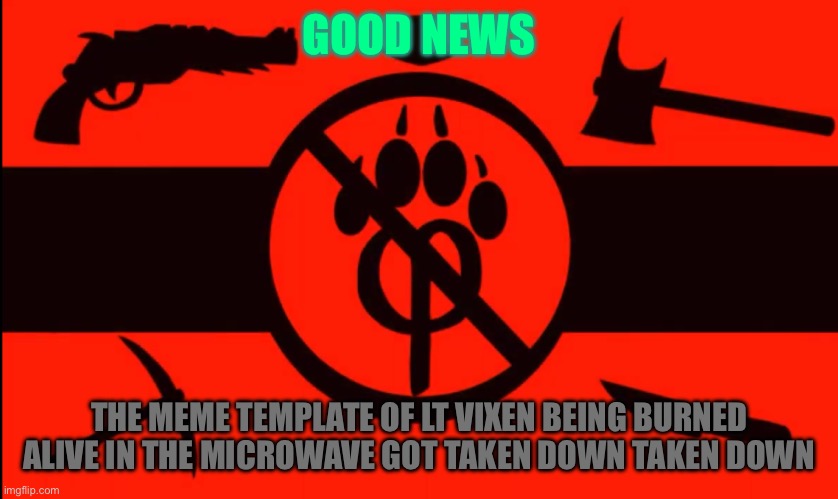 It actually happened! | GOOD NEWS; THE MEME TEMPLATE OF LT VIXEN BEING BURNED ALIVE IN THE MICROWAVE GOT TAKEN DOWN TAKEN DOWN | made w/ Imgflip meme maker