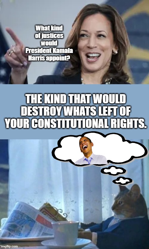 " Oh... the Horror " | What kind of justices would President Kamala Harris appoint? THE KIND THAT WOULD DESTROY WHATS LEFT OF YOUR CONSTITUTIONAL RIGHTS. | image tagged in memes,i should buy a boat cat | made w/ Imgflip meme maker