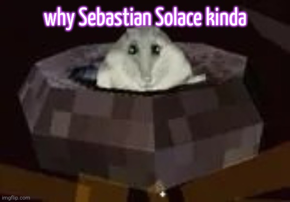 flor | why Sebastian Solace kinda | image tagged in flor | made w/ Imgflip meme maker