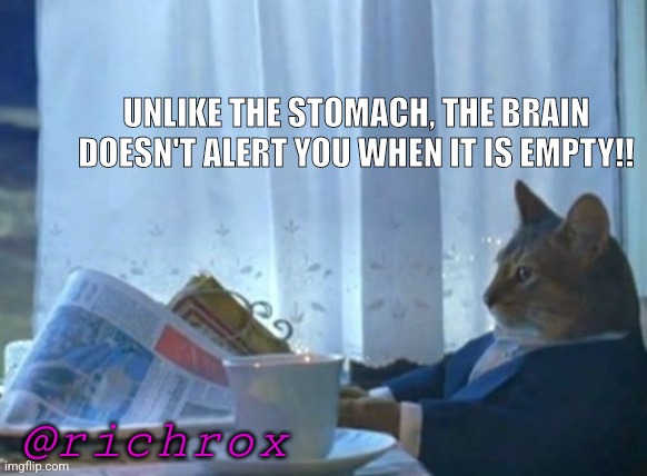 I Should Buy A Boat Cat | UNLIKE THE STOMACH, THE BRAIN DOESN'T ALERT YOU WHEN IT IS EMPTY!! @richrox | image tagged in memes,i should buy a boat cat | made w/ Imgflip meme maker