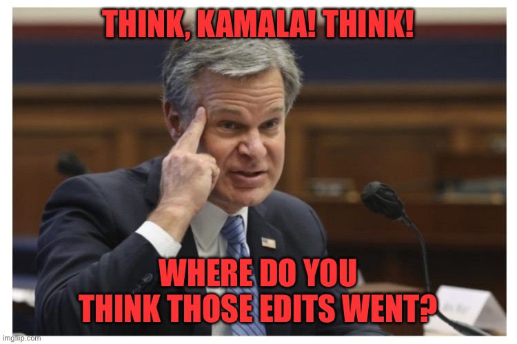 Wray if | THINK, KAMALA! THINK! WHERE DO YOU THINK THOSE EDITS WENT? | image tagged in wray if | made w/ Imgflip meme maker