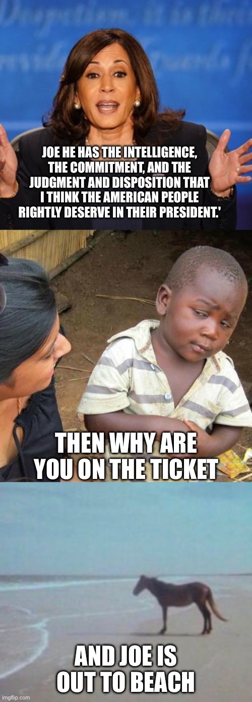 Did they tell her to lie? Did she then blackmail them to be the candidate? Something ain’t right. Ask Newsome. | JOE HE HAS THE INTELLIGENCE, THE COMMITMENT, AND THE JUDGMENT AND DISPOSITION THAT I THINK THE AMERICAN PEOPLE RIGHTLY DESERVE IN THEIR PRESIDENT.'; THEN WHY ARE YOU ON THE TICKET; AND JOE IS OUT TO BEACH | image tagged in kamala harris,horse on beach man,biden | made w/ Imgflip meme maker