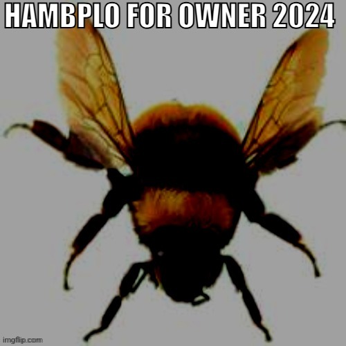 Heebeebee beehaabee beedeebee | made w/ Imgflip meme maker