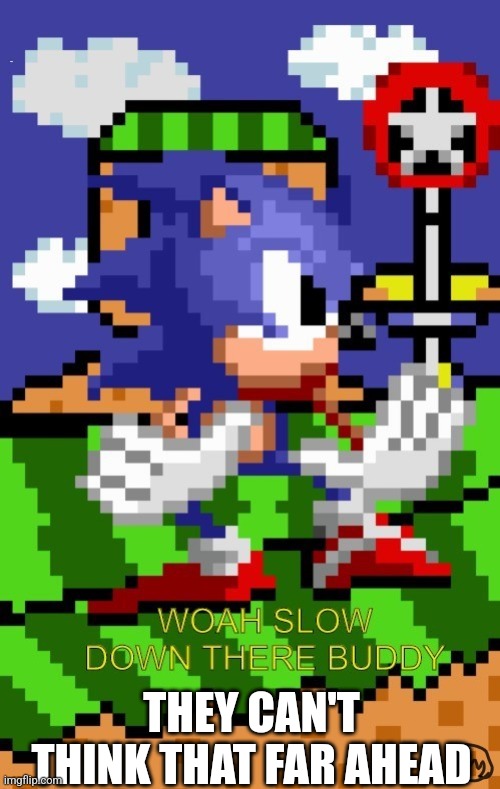 woah slow down there | THEY CAN'T THINK THAT FAR AHEAD | image tagged in woah slow down there | made w/ Imgflip meme maker