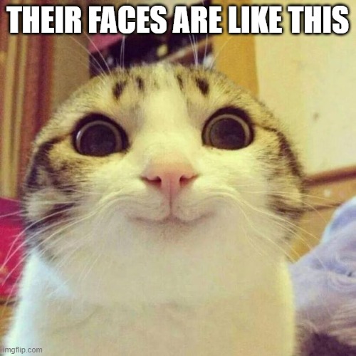 Smiling Cat Meme | THEIR FACES ARE LIKE THIS | image tagged in memes,smiling cat | made w/ Imgflip meme maker