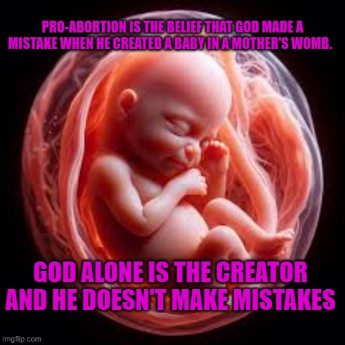 God doesn't make mistakes | PRO-ABORTION IS THE BELIEF THAT GOD MADE A MISTAKE WHEN HE CREATED A BABY IN A MOTHER'S WOMB. GOD ALONE IS THE CREATOR AND HE DOESN'T MAKE MISTAKES | made w/ Imgflip meme maker