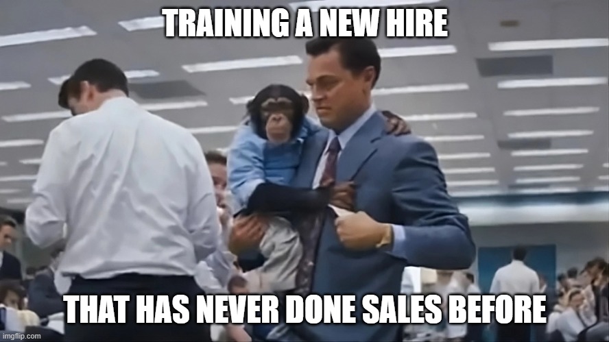 Training a new salesperson | TRAINING A NEW HIRE; THAT HAS NEVER DONE SALES BEFORE | image tagged in wolf of wall street monkey,sales,monkey | made w/ Imgflip meme maker