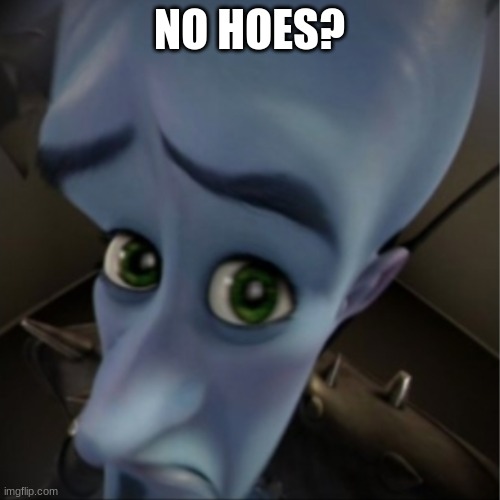 Megamind peeking | NO HOES? | image tagged in megamind peeking | made w/ Imgflip meme maker