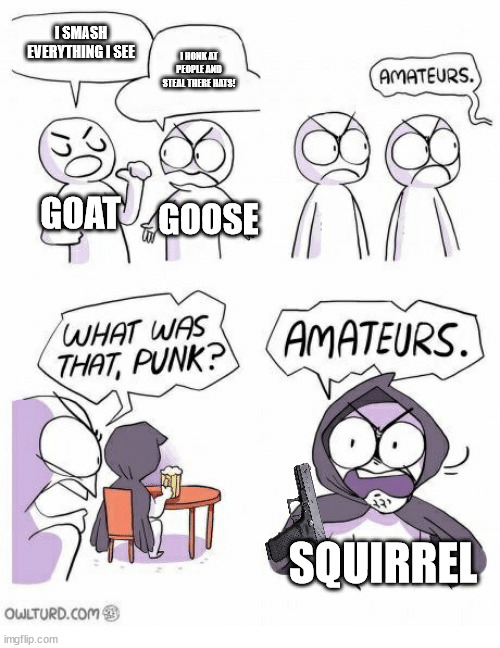 The three lovable maniacs | I SMASH EVERYTHING I SEE; I HONK AT PEOPLE AND STEAL THERE HATS! GOAT; GOOSE; SQUIRREL | image tagged in amateurs,goat,goose,squirrel | made w/ Imgflip meme maker