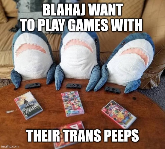 Blahaj gamer | BLAHAJ WANT TO PLAY GAMES WITH; THEIR TRANS PEEPS | image tagged in blahaj gamer,transgender | made w/ Imgflip meme maker