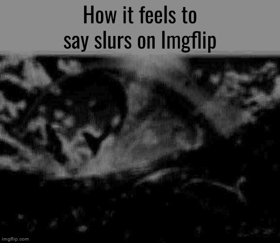 Happy dolphin rainbow | How it feels to say slurs on Imgflip | image tagged in happy dolphin rainbow | made w/ Imgflip meme maker