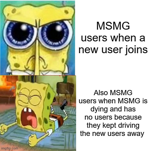 Drake Hotline Bling Meme | MSMG users when a new user joins Also MSMG users when MSMG is dying and has no users because they kept driving the new users away | image tagged in memes,drake hotline bling | made w/ Imgflip meme maker