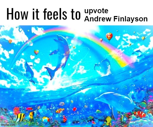 msmg gonna get mad at me for saying this now | upvote Andrew Finlayson | image tagged in how it feels to pay road tax | made w/ Imgflip meme maker