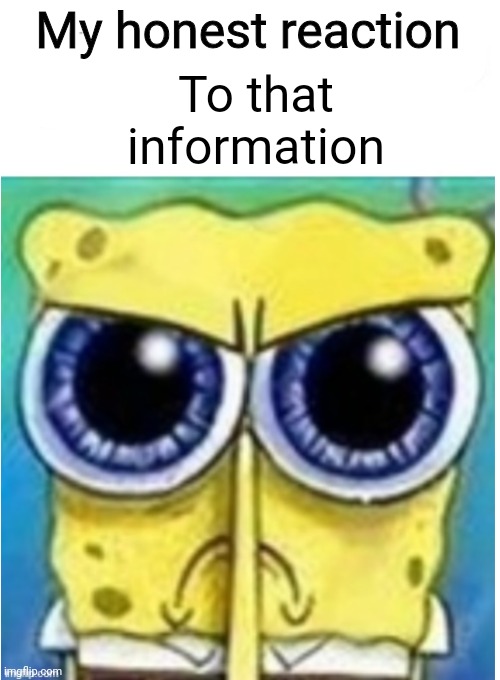 Angry spongebob blank | My honest reaction To that information | image tagged in angry spongebob blank | made w/ Imgflip meme maker