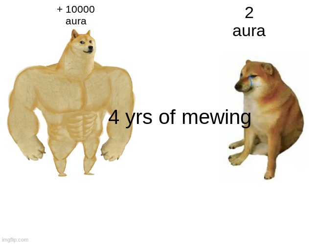 Buff Doge vs. Cheems | + 10000
aura; 2
aura; 4 yrs of mewing | image tagged in memes,buff doge vs cheems | made w/ Imgflip meme maker