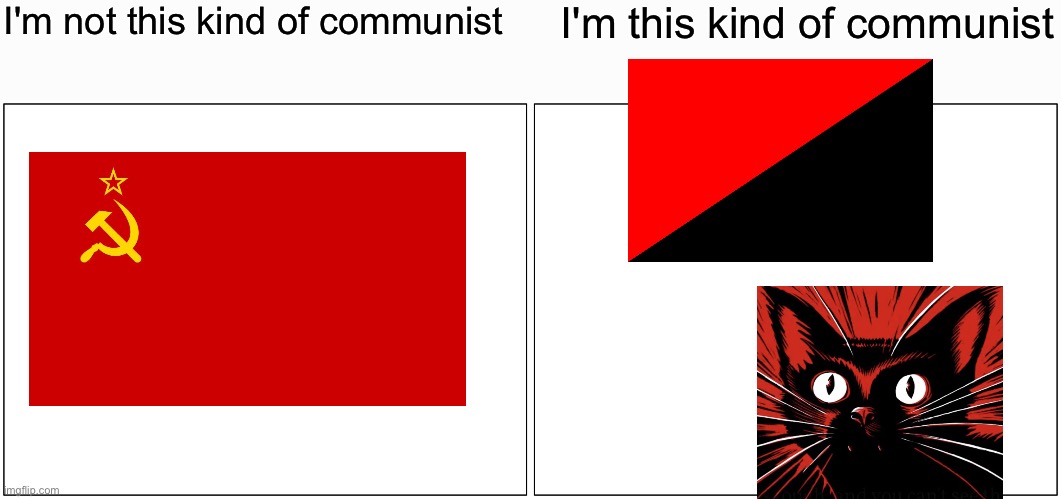 Blank Comic Panel 2x1 Meme | I'm not this kind of communist I'm this kind of communist | image tagged in memes,blank comic panel 2x1 | made w/ Imgflip meme maker