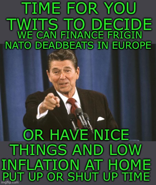 Yep I said it | TIME FOR YOU TWITS TO DECIDE; WE CAN FINANCE FRIGIN NATO DEADBEATS IN EUROPE; OR HAVE NICE THINGS AND LOW INFLATION AT HOME; PUT UP OR SHUT UP TIME | image tagged in ronald reagan | made w/ Imgflip meme maker