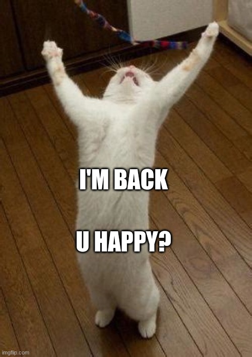 I'm back ! | U HAPPY? I'M BACK | image tagged in hooray cat | made w/ Imgflip meme maker