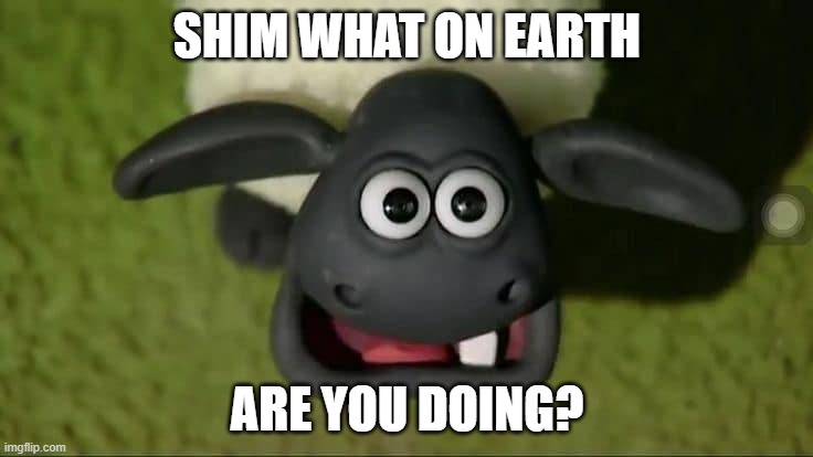 SHIM WHAT ON EARTH; ARE YOU DOING? | image tagged in memes,space engineers | made w/ Imgflip meme maker