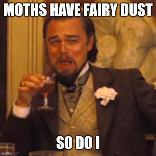 I'm a fairy | MOTHS HAVE FAIRY DUST; SO DO I | image tagged in memes,laughing leo,fairy,leonardo dicaprio,butt,why | made w/ Imgflip meme maker