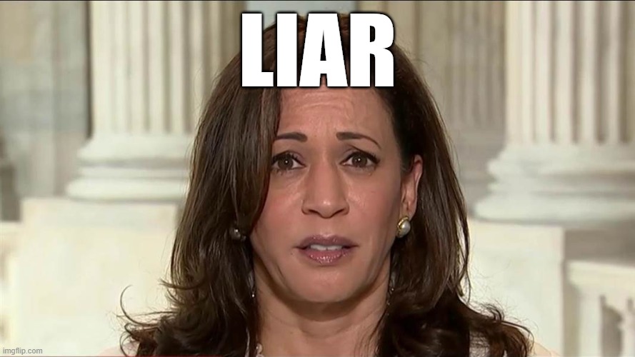 LIAR KAMALA | LIAR | image tagged in kamala harris | made w/ Imgflip meme maker