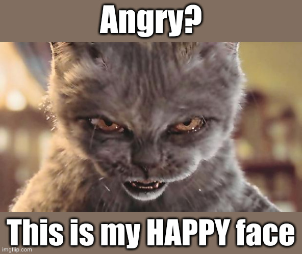 Maybe he likes being angry | Angry? This is my HAPPY face | image tagged in evil cat | made w/ Imgflip meme maker