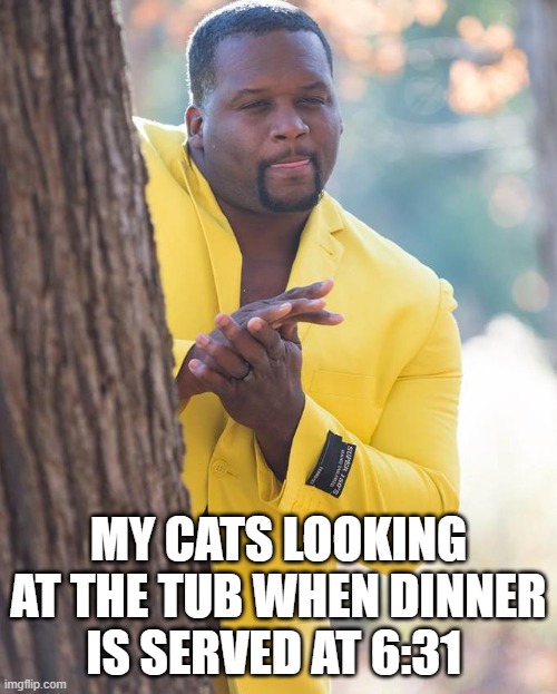 Anthony Adams Rubbing Hands | MY CATS LOOKING AT THE TUB WHEN DINNER IS SERVED AT 6:31 | image tagged in anthony adams rubbing hands | made w/ Imgflip meme maker