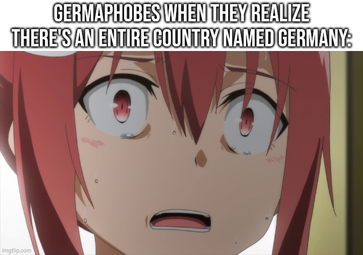 They always exist, Germaphobes. Always. | Germaphobes when they realize there's an entire country named Germany: | image tagged in germaphobes,germany | made w/ Imgflip meme maker