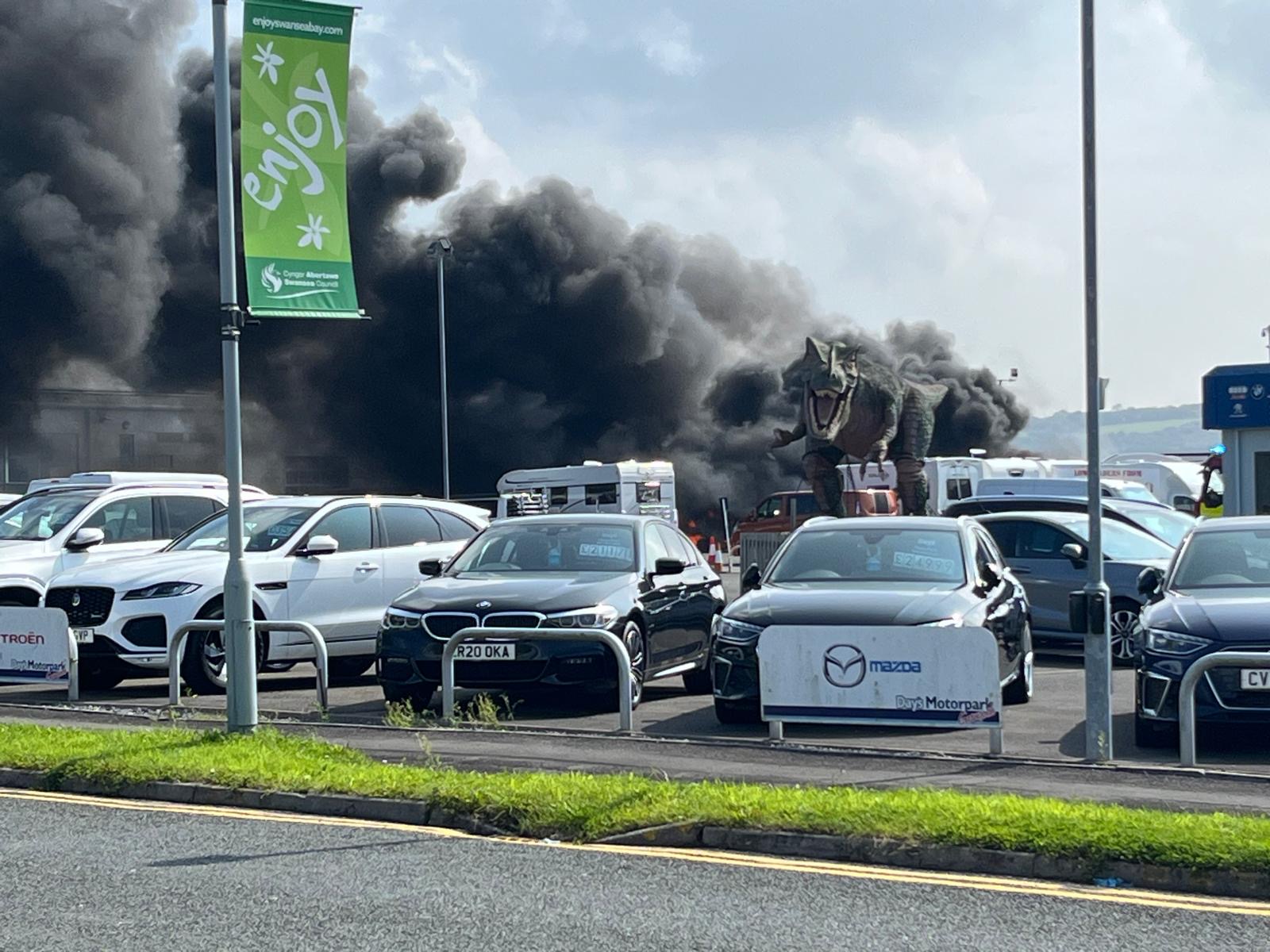 t-rex causes fire at car showroom Blank Meme Template