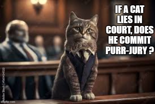 memes by Brad - If a cat lies in court, does it commit purr-jury? | IF A CAT LIES IN COURT, DOES HE COMMIT PURR-JURY ? | image tagged in funny,cats,kittens,funny cat memes,cute kitten,humor | made w/ Imgflip meme maker