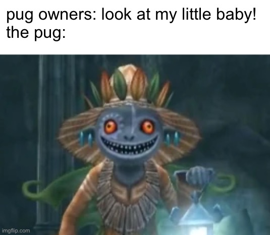 pug owners: look at my little baby!
the pug: | image tagged in twilight princess | made w/ Imgflip meme maker