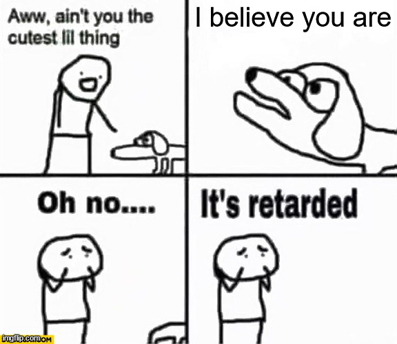 Oh no it's retarded! | I believe you are | image tagged in oh no it's retarded | made w/ Imgflip meme maker