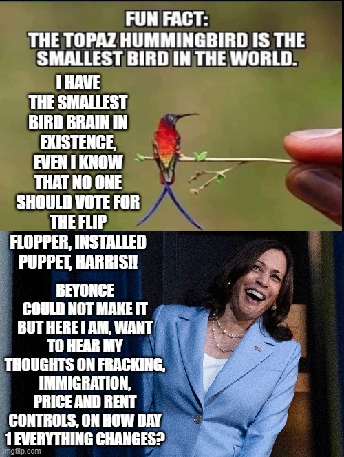 Even the smallest bird brain knows, | I HAVE THE SMALLEST BIRD BRAIN IN EXISTENCE, EVEN I KNOW THAT NO ONE SHOULD VOTE FOR THE FLIP FLOPPER, INSTALLED PUPPET, HARRIS!! BEYONCE COULD NOT MAKE IT BUT HERE I AM, WANT TO HEAR MY THOUGHTS ON FRACKING, IMMIGRATION, PRICE AND RENT CONTROLS, ON HOW DAY 1 EVERYTHING CHANGES? | image tagged in sam elliott special kind of stupid,morons,kamala harris | made w/ Imgflip meme maker