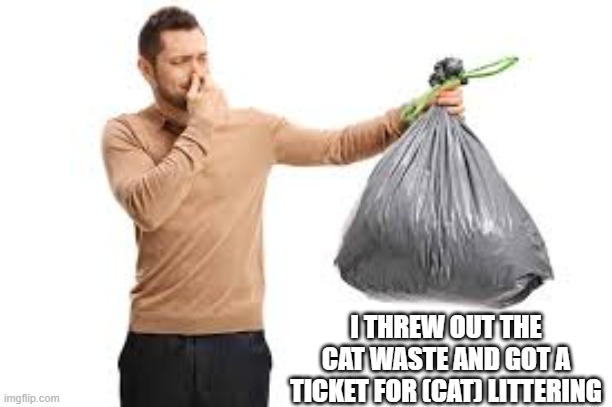 memes by Brad - I threw out the cat waste and got a ticket for littering | I THREW OUT THE CAT WASTE AND GOT A TICKET FOR (CAT) LITTERING | image tagged in funny,cats,cute kittens,funny cat memes,kitten,humor | made w/ Imgflip meme maker