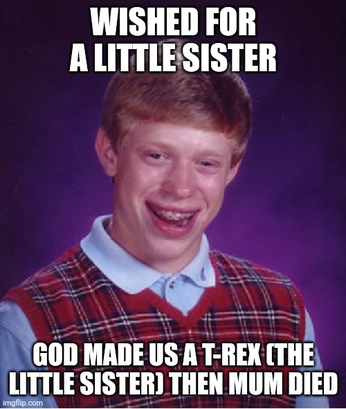 Bad Luck Brian Meme | WISHED FOR A LITTLE SISTER GOD MADE US A T-REX (THE LITTLE SISTER) THEN MUM DIED | image tagged in memes,bad luck brian | made w/ Imgflip meme maker