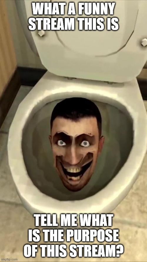 Skibidi toilet | WHAT A FUNNY STREAM THIS IS; TELL ME WHAT IS THE PURPOSE OF THIS STREAM? | image tagged in skibidi toilet | made w/ Imgflip meme maker