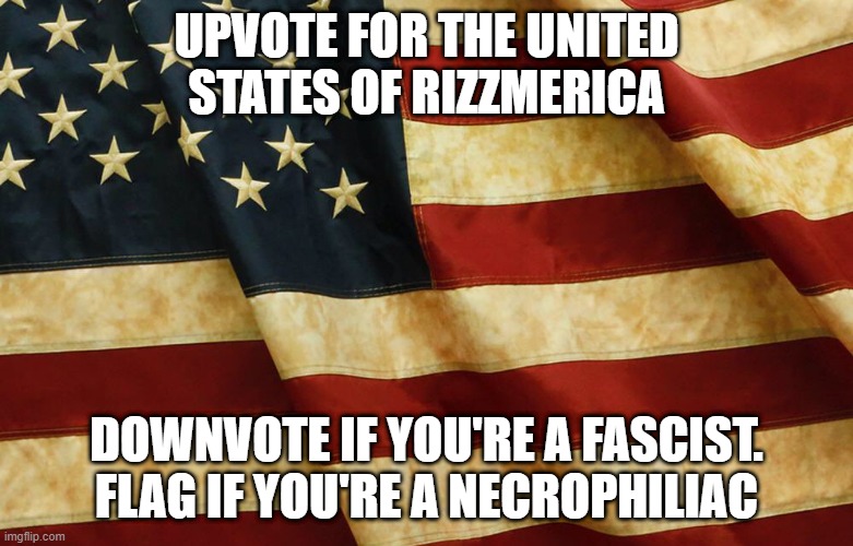 American Flag - antique | UPVOTE FOR THE UNITED STATES OF RIZZMERICA; DOWNVOTE IF YOU'RE A FASCIST. FLAG IF YOU'RE A NECROPHILIAC | image tagged in american flag - antique | made w/ Imgflip meme maker