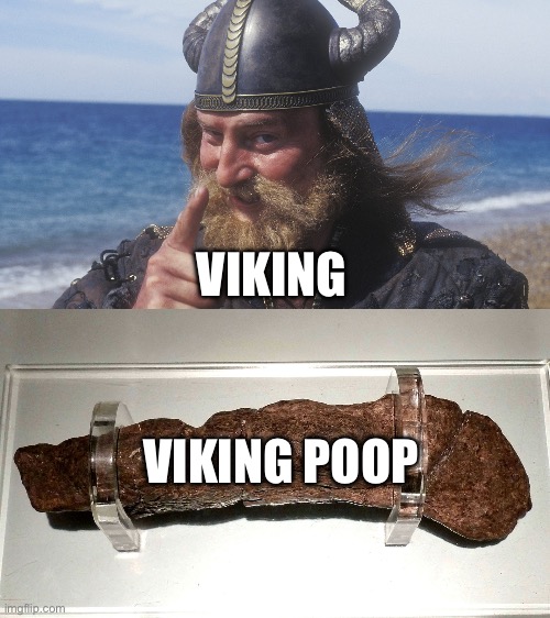 VIKING; VIKING POOP | image tagged in hell yes viking,poop | made w/ Imgflip meme maker