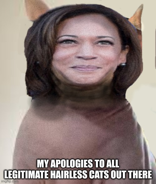 but doesn't she though? | MY APOLOGIES TO ALL LEGITIMATE HAIRLESS CATS OUT THERE | image tagged in kamala,looks,like,a,hairless,cat | made w/ Imgflip meme maker