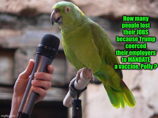 parrot | How many people lost their JOBS because Trump coerced their employers to MANDATE a vaccine, Polly ? | image tagged in parrot | made w/ Imgflip meme maker