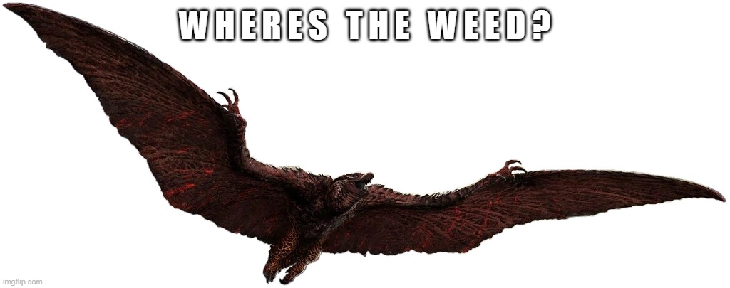 Rodan (Monsterverse) | W H E R E S   T H E   W E E D ? | image tagged in rodan monsterverse | made w/ Imgflip meme maker