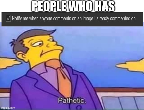 skinner pathetic | PEOPLE WHO HAS | image tagged in skinner pathetic | made w/ Imgflip meme maker