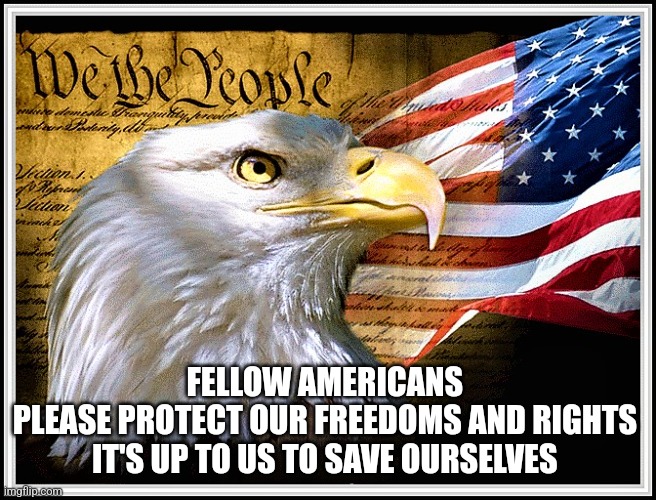 Reality | FELLOW AMERICANS 
PLEASE PROTECT OUR FREEDOMS AND RIGHTS 
IT'S UP TO US TO SAVE OURSELVES | image tagged in constitution eagle and flag | made w/ Imgflip meme maker