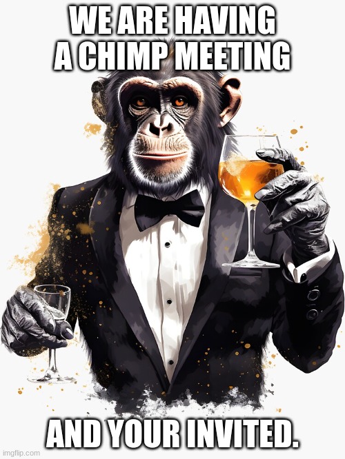 Chimp meeting | WE ARE HAVING A CHIMP MEETING; AND YOUR INVITED. | image tagged in monkey | made w/ Imgflip meme maker