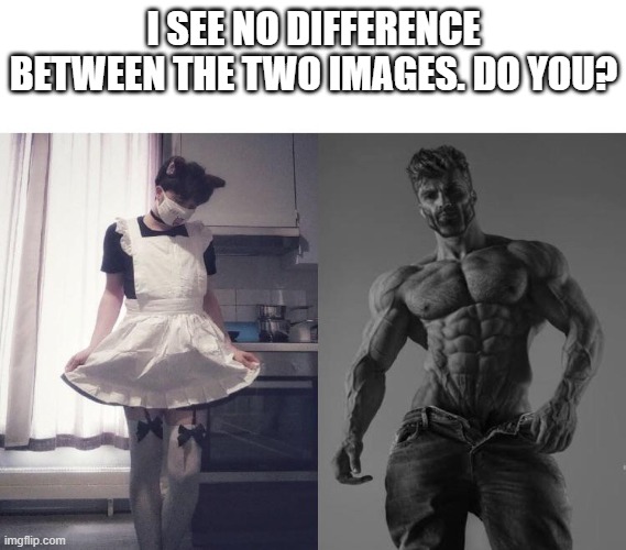 :3 hav gud day | I SEE NO DIFFERENCE BETWEEN THE TWO IMAGES. DO YOU? | image tagged in giga chad vs femboy | made w/ Imgflip meme maker