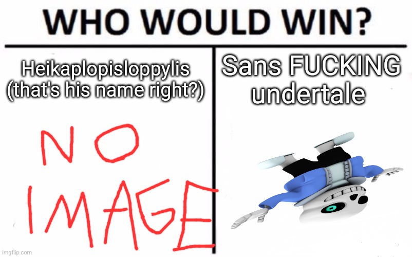 This is a joke I made cuz of the last line of AMs new story (and also cuz yall know I'm a snas simp) | Heikaplopisloppylis (that's his name right?); Sans FUCKING undertale | image tagged in memes,who would win | made w/ Imgflip meme maker