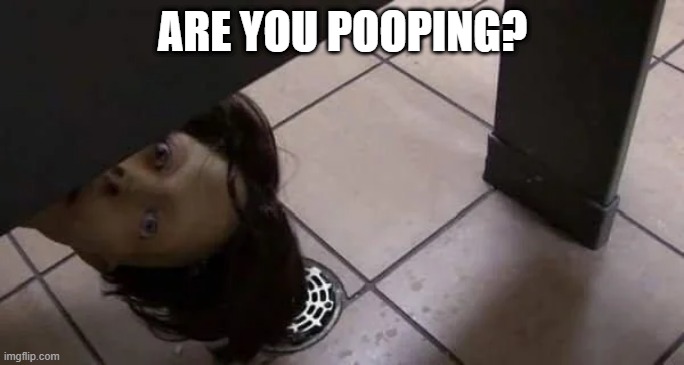 You Look Down, You See This | ARE YOU POOPING? | image tagged in cursed image | made w/ Imgflip meme maker